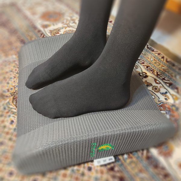 پشتی طبی ماساژوردار راگونومیک مدل N-2M